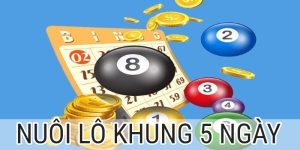 Nuôi lô khung 5 ngày