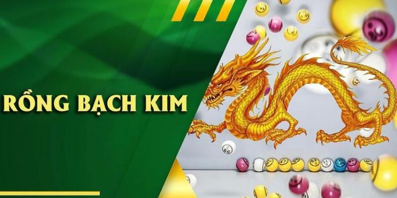 Lưu ý trong khi soi cầu rồng bạch kim