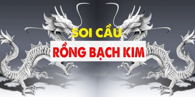 Tóm tắt về khái niệm soi cầu rồng bạch kim