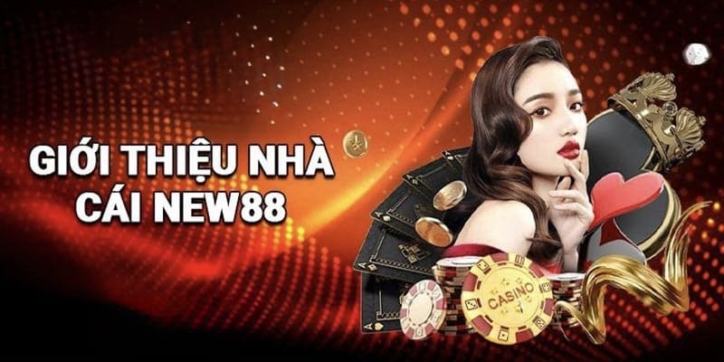 Nhà cái New88 được nhiều hội viên ưa chuộng và đánh giá cao